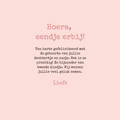 Lief felicitatiekaartje geboorte zusje met eendjes roze 3
