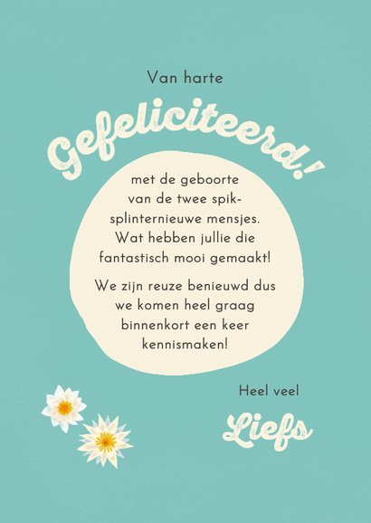 Lief felicitatiekaartje voor een tweeling - baby otters 3