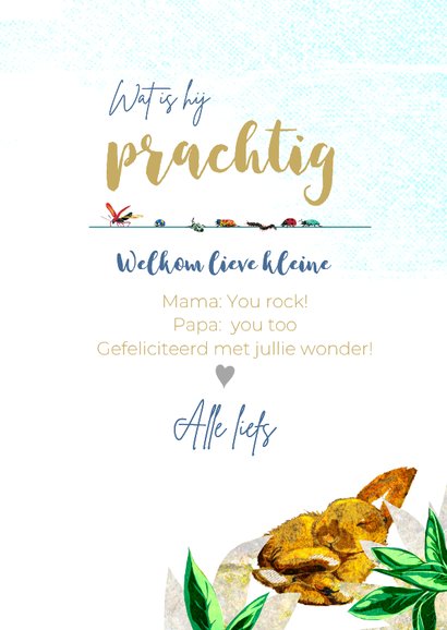 Lief geboorte felicitiatie kaartje voor een jongen met panda 3