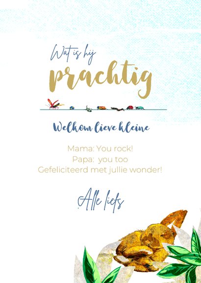 Lief geboorte felicitiatie kaartje voor een jongen met panda 3