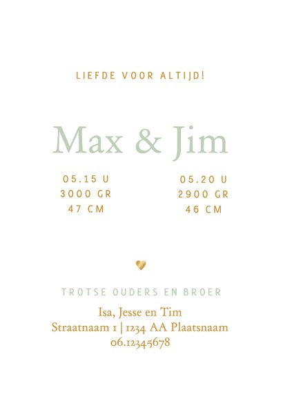 Lief geboortekaartje broer kust tweeling - goudfolie 3