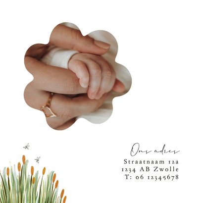 Lief geboortekaartje illustratie gans riet libelle 2