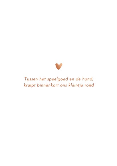 Lief geboortekaartje jongen met hond – koperfolie 2