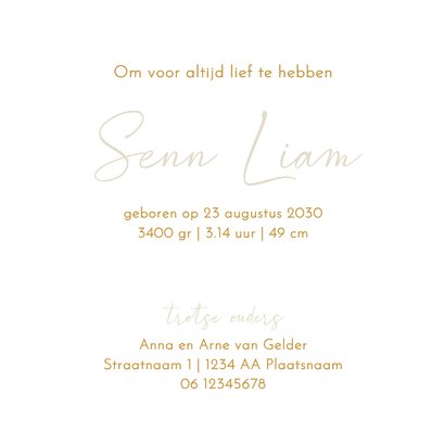 Lief geboortekaartje jongenmet teddybeer – goudfolie 3