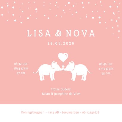 Lief geboortekaartje meisjes tweeling met 2 olifantjes 3