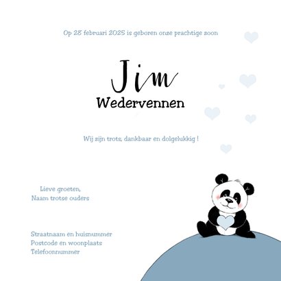 Lief geboortekaartje met baby in onesie en pandabeertje 3