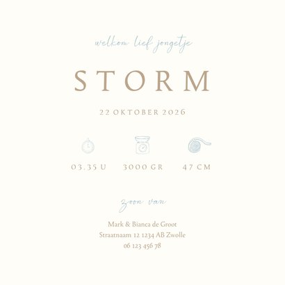 Lief geboortekaartje met een ijsbeer en blauw vogeltje 3