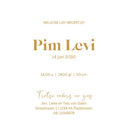 Lief geboortekaartje met goudfolie – zus kust baby 3