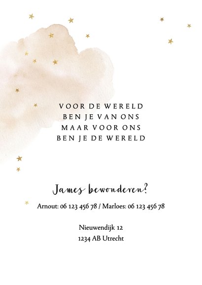 Lief geboortekaartje met leeuwtje en gouden sterretjes 2