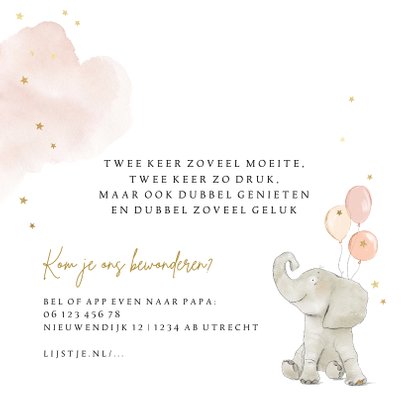 Lief geboortekaartje met olifantje ballonnen en foto 2