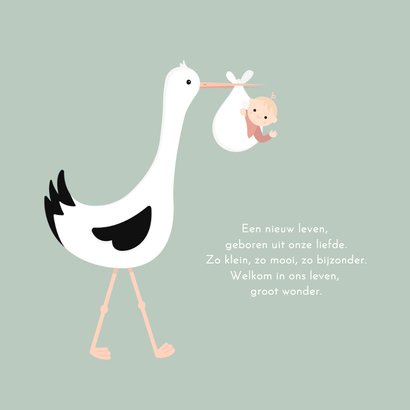 Lief geboortekaartje met ooievaar en baby jongen 2