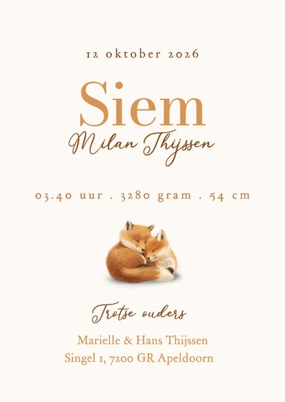 Lief geboortekaartje met twee knuffelende vosjes 3