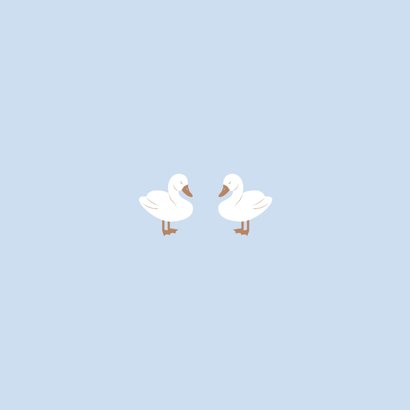  Lief geboortekaartje met twee zwaantjes blauw Achterkant