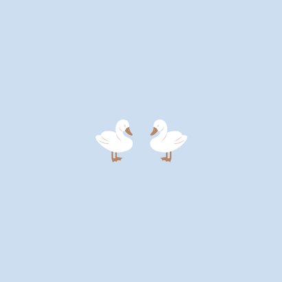Lief geboortekaartje met twee zwaantjes blauw Achterkant