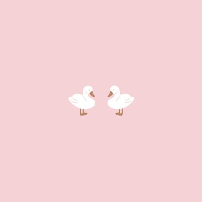 Lief geboortekaartje met twee zwaantjes roze Achterkant
