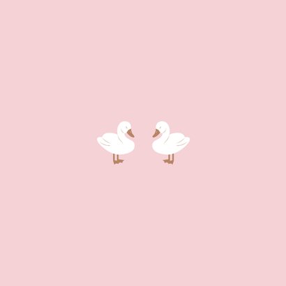 Lief geboortekaartje met twee zwaantjes roze Achterkant