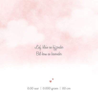 Lief geboortekaartje met zebra en roze wolken 2