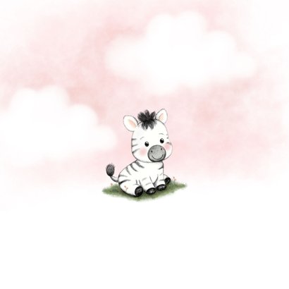 Lief geboortekaartje met zebra en roze wolken Achterkant