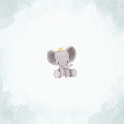 Lief geboortekaartje olifantje met kroontje en waterverf Achterkant