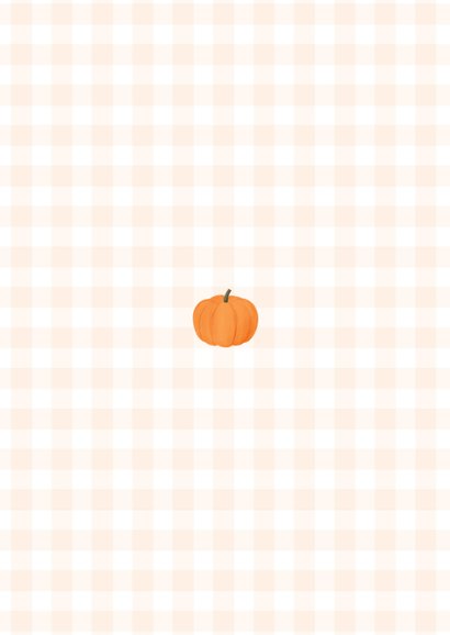 Lief geboortekaartje oranje ruitjes pompoenen Achterkant