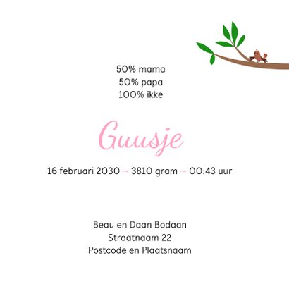 Lief geboortekaartje roze vw kever 3