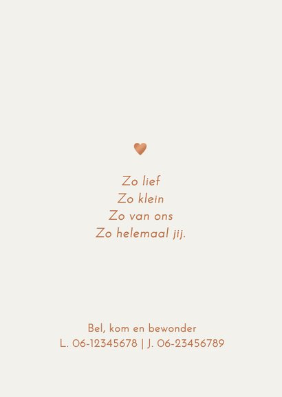 Lief geboortekaartje twee zusjes met baby – koperfolie 2