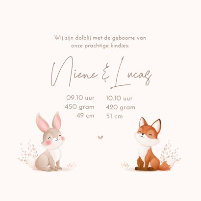 Lief geboortekaartje tweeling illustratie vosje en konijntje 3