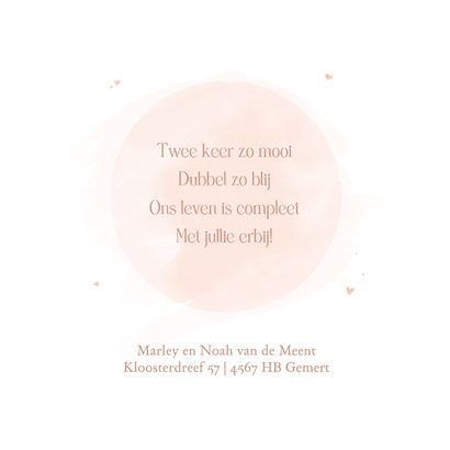 Lief geboortekaartje tweeling pastel illustratie konijntjes 2