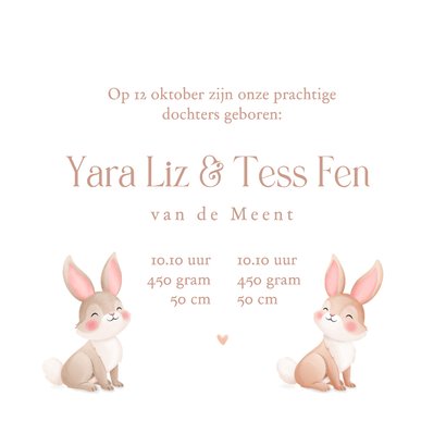Lief geboortekaartje tweeling pastel illustratie konijntjes 3