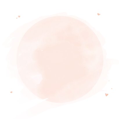 Lief geboortekaartje tweeling pastel illustratie konijntjes Achterkant