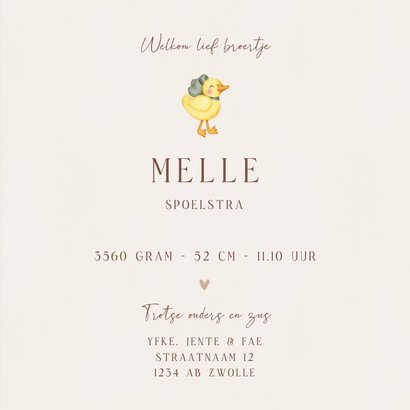 Lief geboortekaartje voor een broertje ganzen in het gras 3