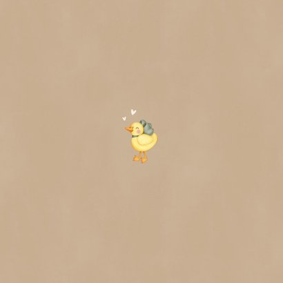 Lief geboortekaartje voor een broertje ganzen in het gras Achterkant