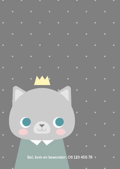 Lief geboortekaartje voor een jongen met een kat en kroontje 2