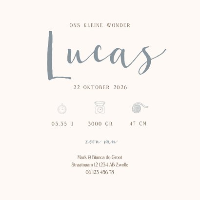 Lief geboortekaartje voor een jongen met twee olifantjes Achterkant