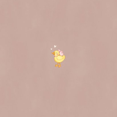 Lief geboortekaartje voor een zusje ganzen in het gras Achterkant