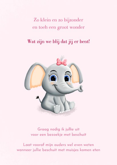 Lief geboortekaartje voor meisje met schattig olifantje 2