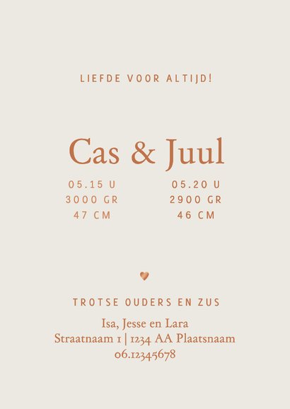 Lief geboortekaartje zus kust tweeling - koperfolie 3