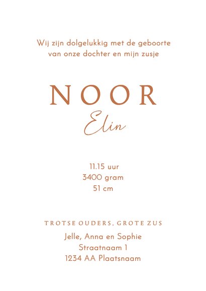 Lief geboortekaartje zus met arm om zusje – koperfolie 3