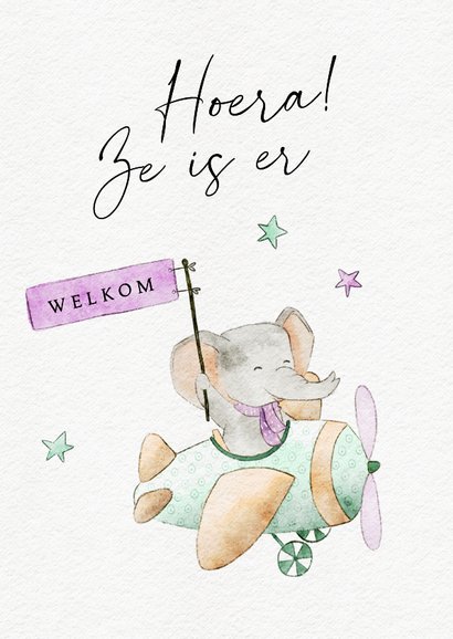 Lief kaartje met olifant in vliegtuig voor geboorte meisje 2
