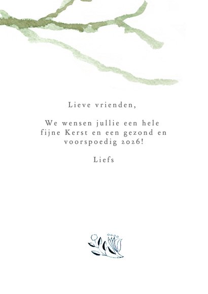 Lief kerstkaartje met roodborst 3