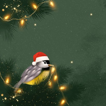 Lief kerstkaartje met vogeltje en lichtpuntjes 2