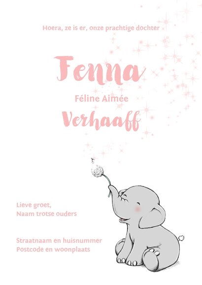 Lief olifantje en wensbloem geboortekaartje 3