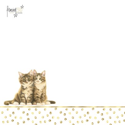 Lief sterkte kaartje 2 knuffelende Noorse boskat kittens 2