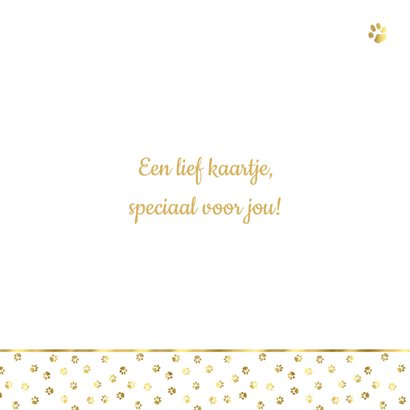Lief sterkte kaartje 2 knuffelende Noorse boskat kittens 3