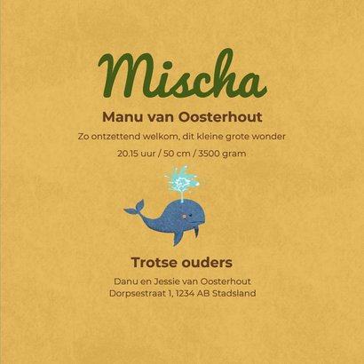 Lief stoer geboortekaartje voor een regenboogbaby met walvis 3