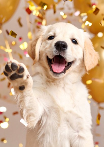 Lief verjaardagskaartje hond confetti pawsome birthday 2