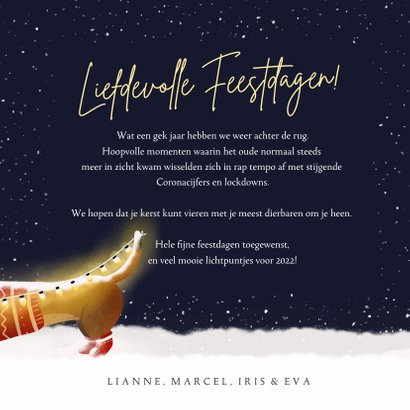 Liefdevolle kerstkaart met teckels en hart van lampjes 3