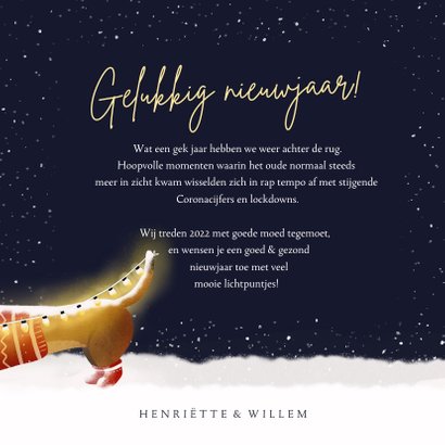 Liefdevolle nieuwjaarskaart teckels - veel lichtpuntjes! 3