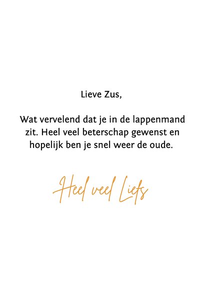 Lieve beterschapskaart van dalmatier met pleister 3