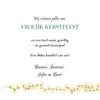Lieve eekhoorn met kerstlampjes 3